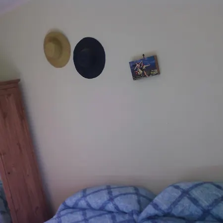 Il Cerchio Delle Fate ファームステイ