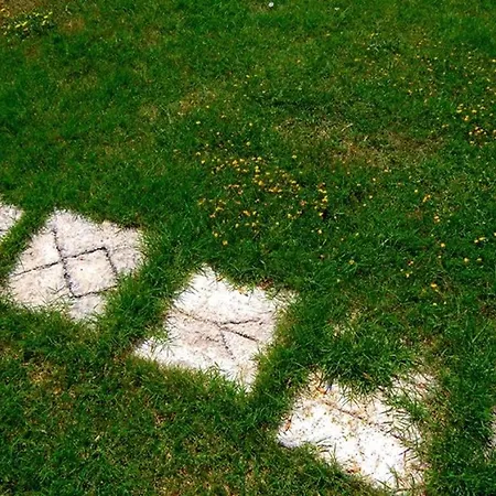 Il Cerchio Delle Fate *